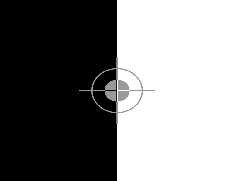 Focus target with two areas of high contrast to help focus