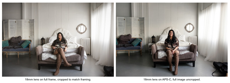 full frame vs crop factor camera with image magnification example applied for comparison