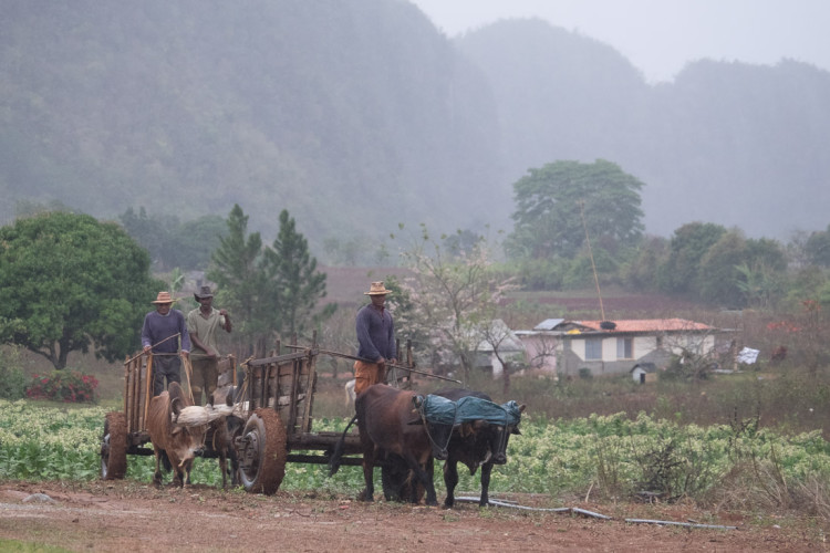 Before lightroom presets applied