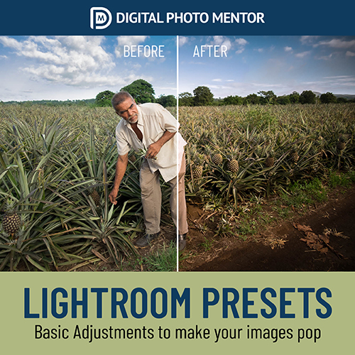 lightroom presets for basic adjustments