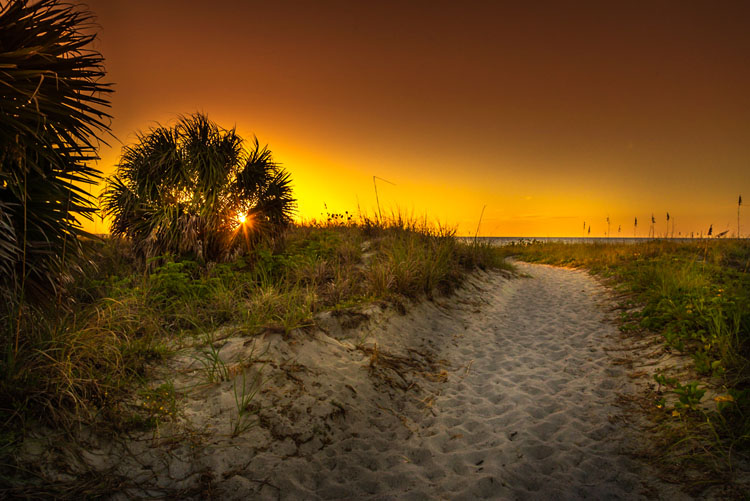 A Closer Walk With Thee 1 20211021