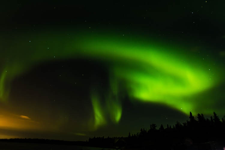 aurora dancing in the night sky