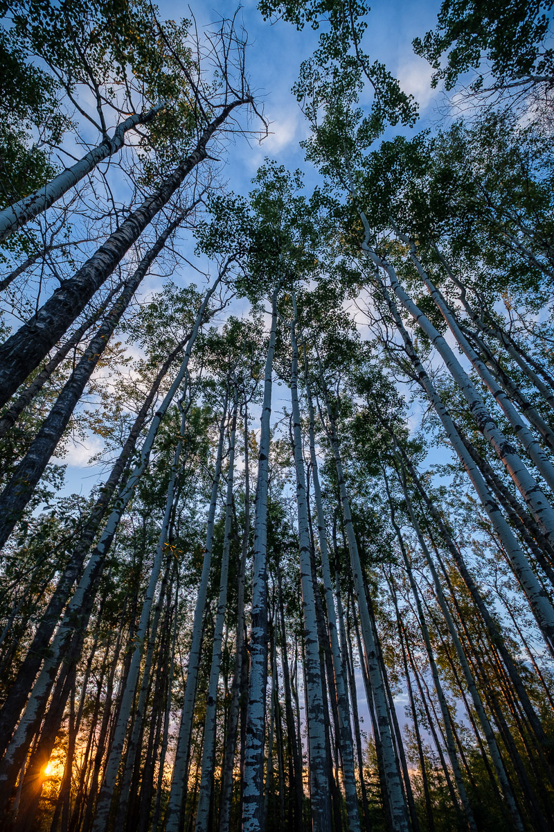bear creek 20240820 007 hdr