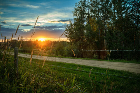 bear creek 20240820 016 hdr 1200px