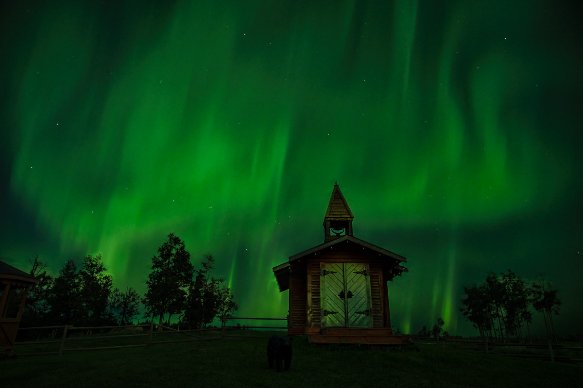 bear creek 20240820 030 edit 2 1200px 1