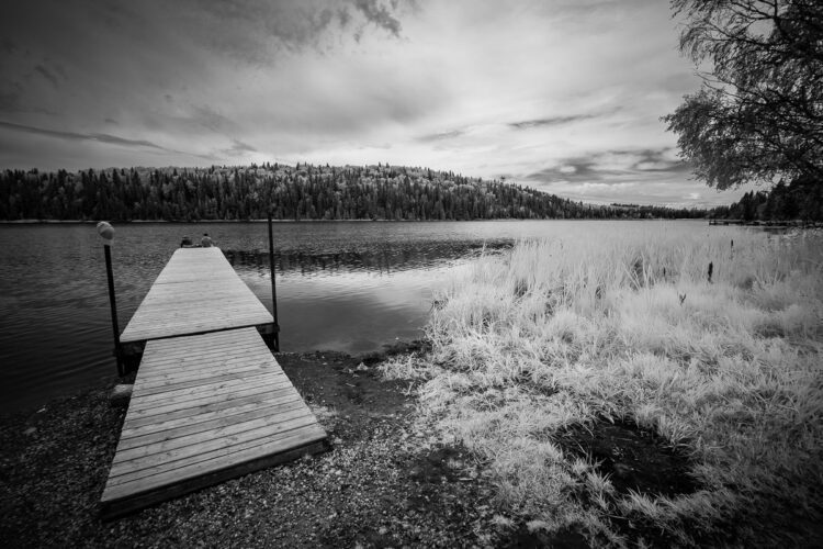 bear creek 20240821 038 1200px