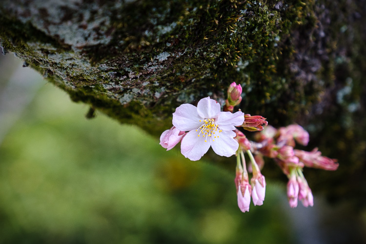 bokeh overlay tutorial 03