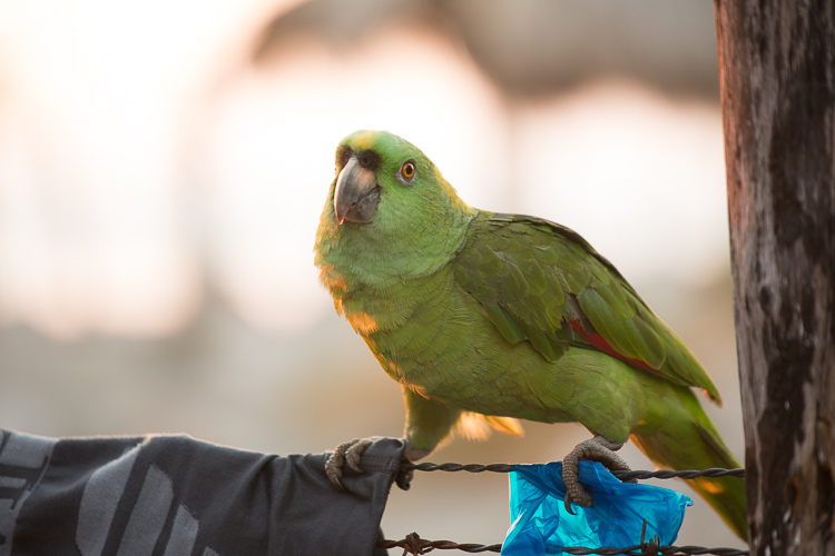 bokeh overlay tutorial 05