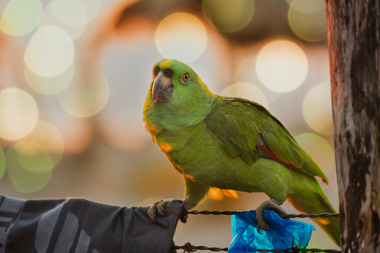 bokeh overlay tutorial 06