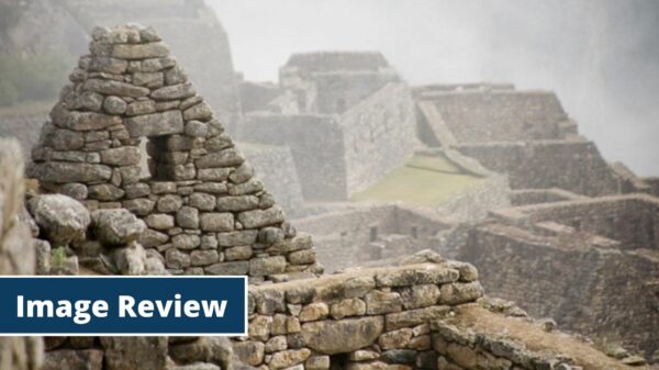 Image review for camera club members