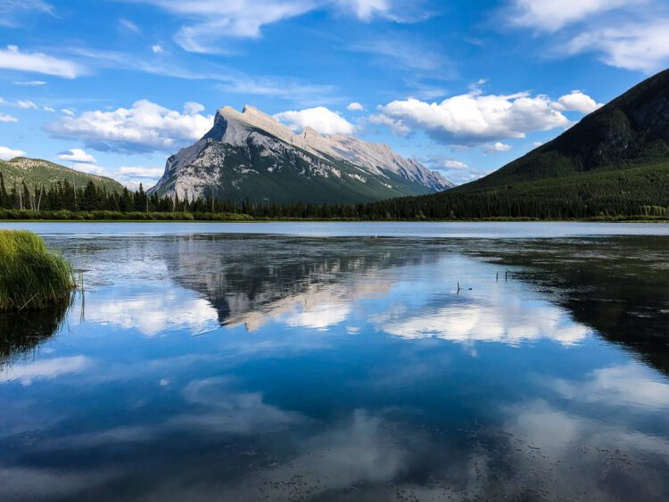 CELL PHONE PHOTOGRAPHY TIPS REFLECTION