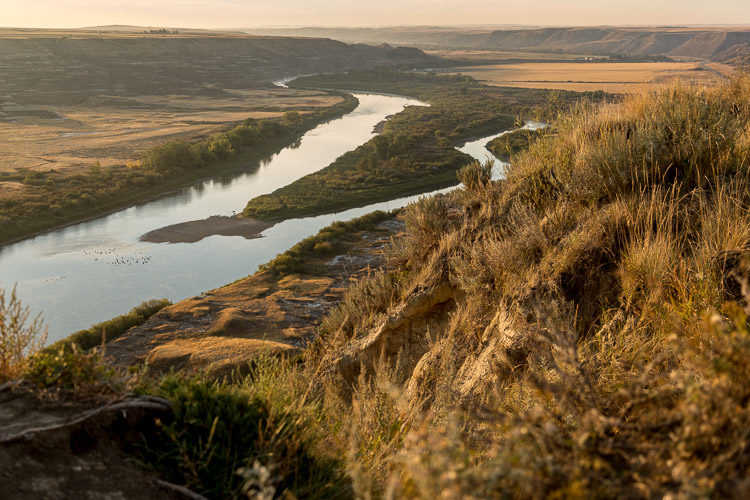 4 Tips for Creating Depth and Dimension in Your Images