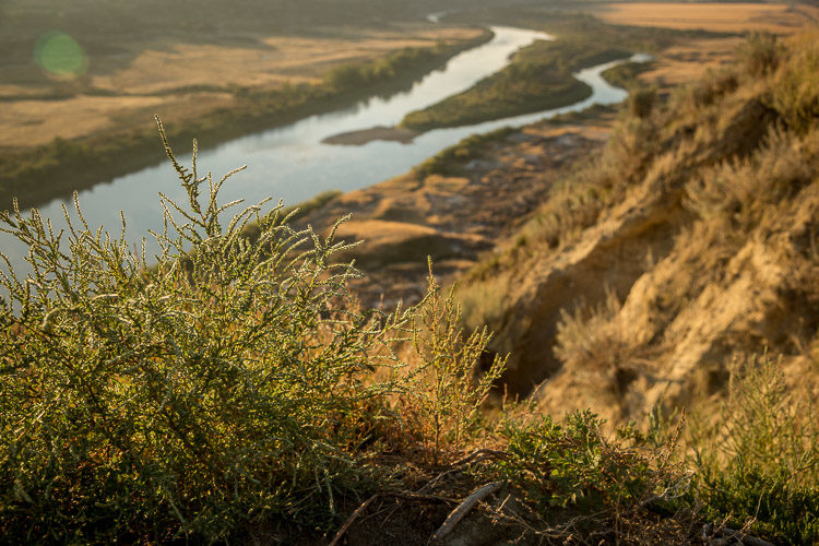 4 Tips for Creating Depth and Dimension in Your Images