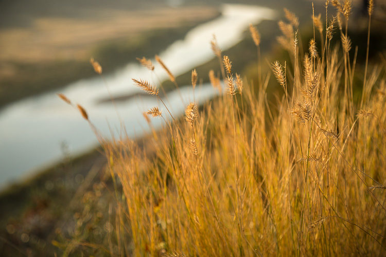 4 Tips for Creating Depth and Dimension in Your Images