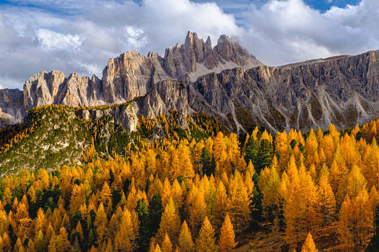 Croda da Lago mountains with stunning fall colors in the foreground