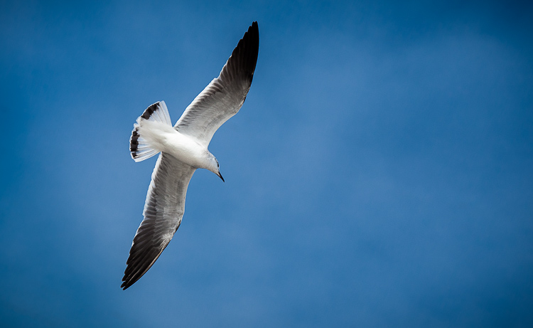 cropping photo with a slight rotation or tile makes for a better image