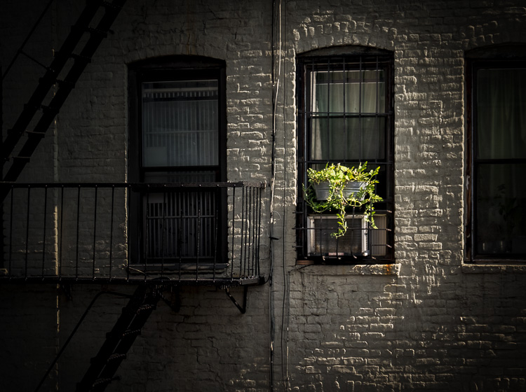 cropping tips after 14