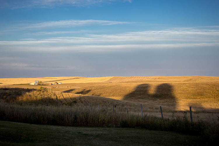 cropping tips before 10