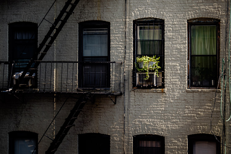 cropping tips before 14