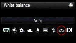 Custom white balance canon