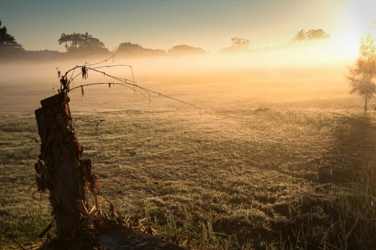 DPM bokeh pack one before 02 1200px