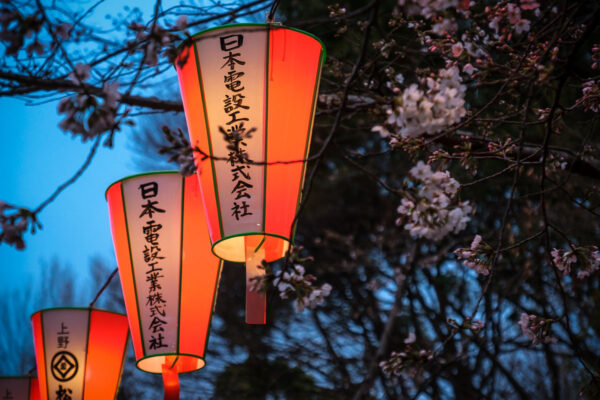 Japanese lanterns without bokeh effect