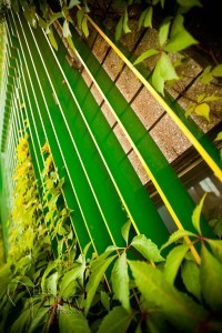 The Greens of Edmonton