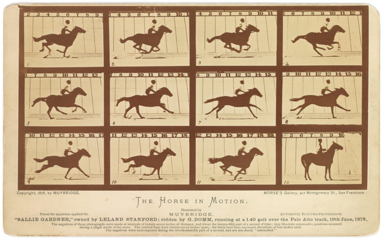 Still motion photo of a horse in motion by Eadweard Muybridge, taken in 1878