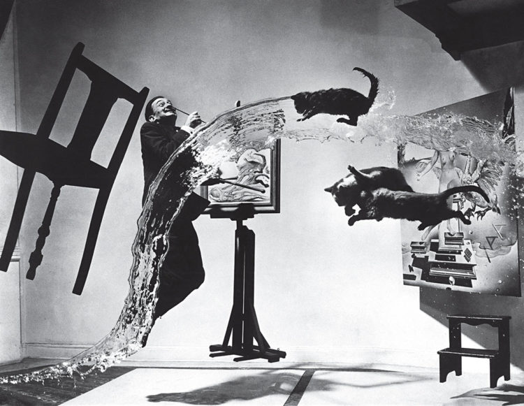 the famous Dali, cats and water photo by Philippe Halsman shot in 1948