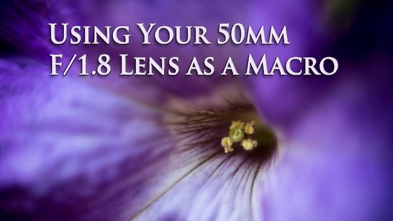using your 50mm lens as a macro
