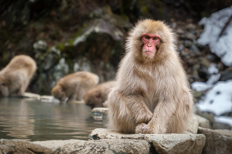 fireside chat travel photography Darlene 08