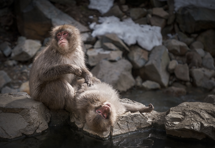 fireside chat travel photography Darlene 11