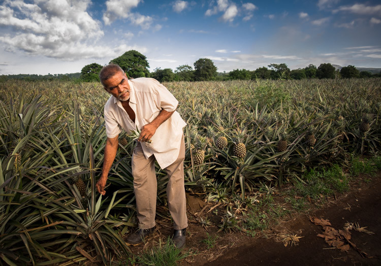 Fuji X-T1 processed in Lightroom CC