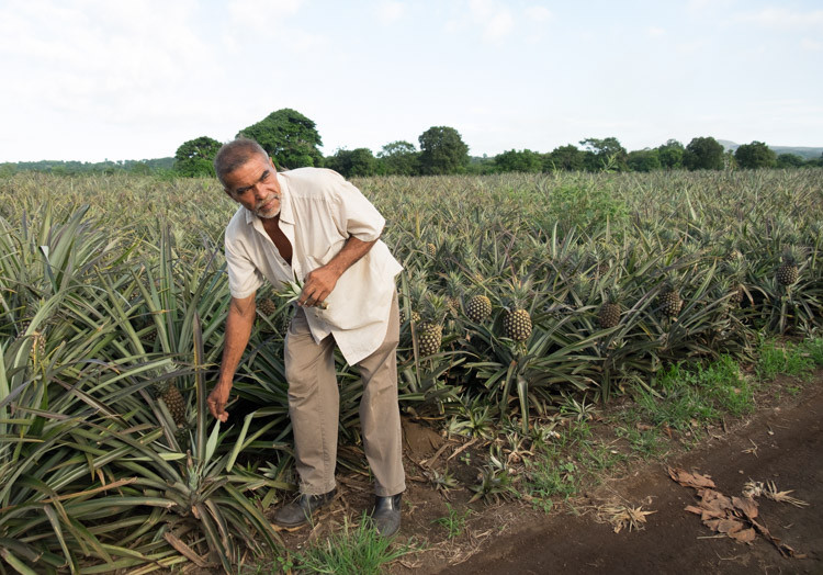 Fuji X-T1 unprocessed right from camera raw file