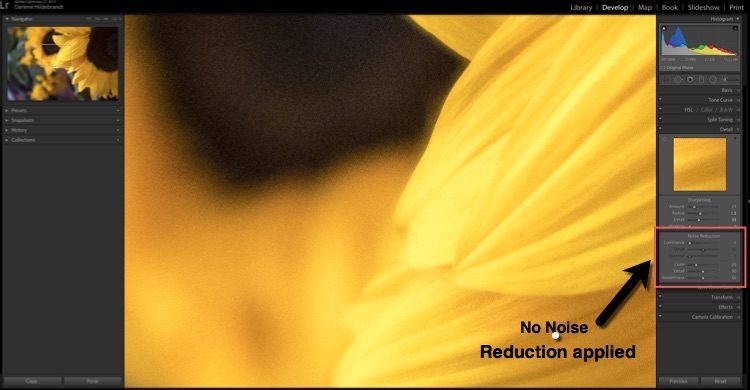 Fuji X100F noise reduction 02