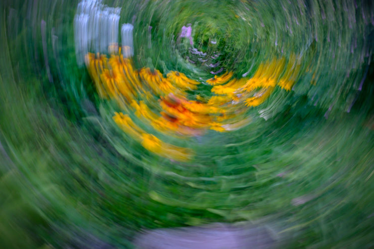 Fuji X100F Review 11