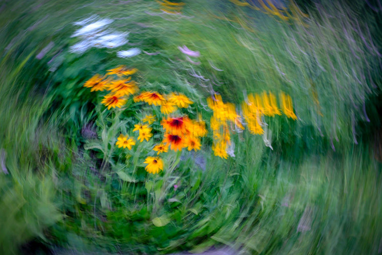 Fuji X100F Review 12