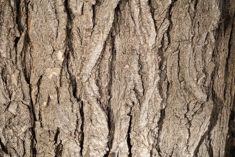 fujifilm 16 55mm lens review 17