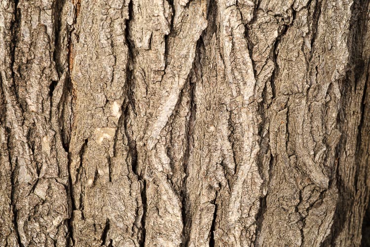 fujifilm 16 55mm lens review 18