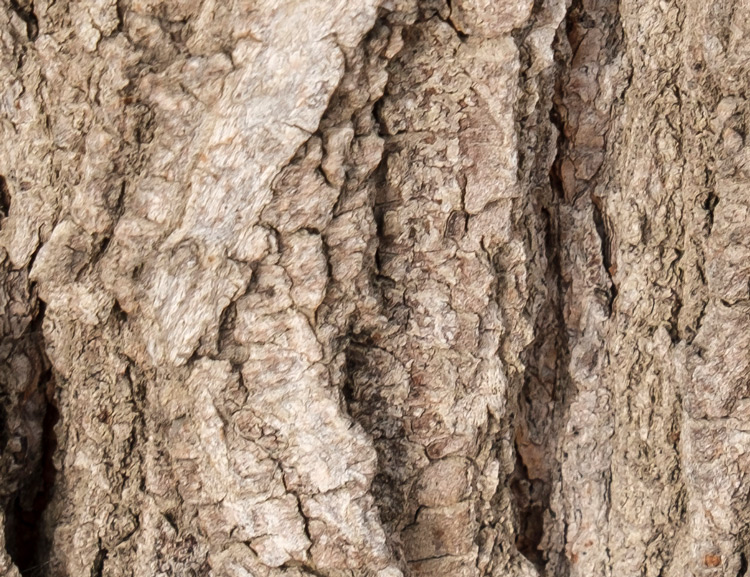 fujifilm 16 55mm lens review 27