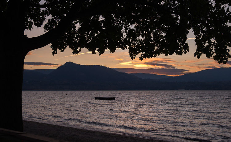 Silhouette photograph with deep black shadows for dramatic effect
