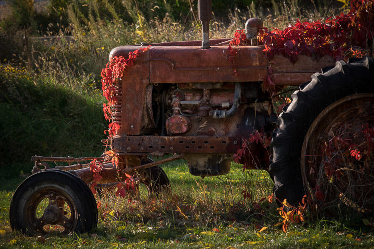 Tractor photo processed to keep deep blacks for vivid color and depth