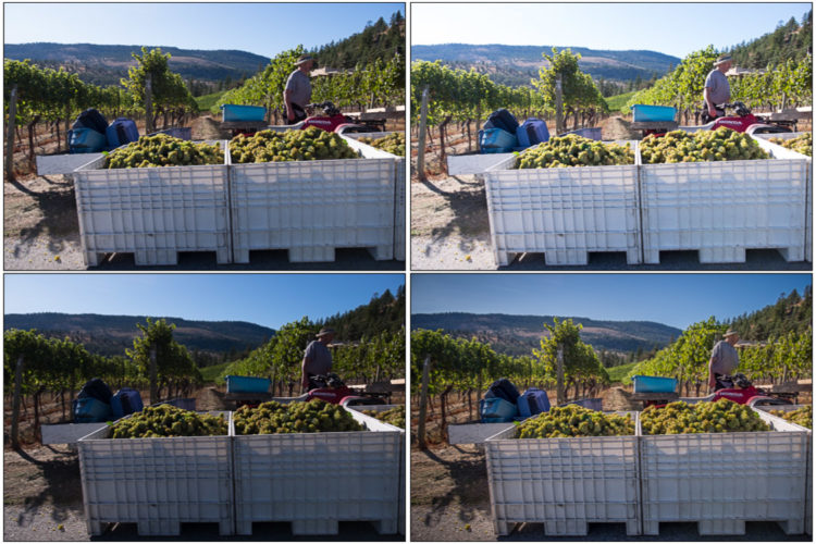 Series of bracketed photos showing person in the frame