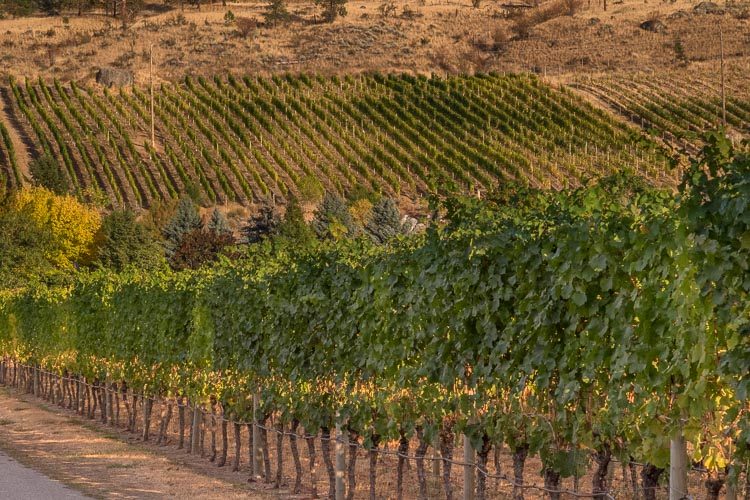 HDR processed photo with detail but no improvement to composition