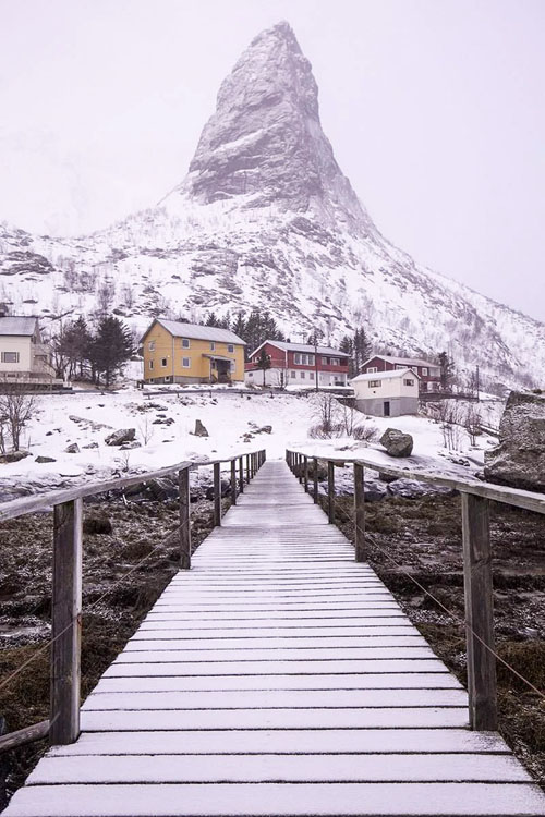 IMAGE OF THE HORN 750