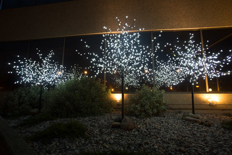 intentional-blur-750px-07