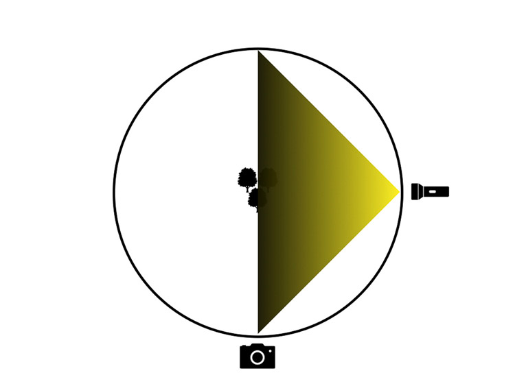 lighting diagram 2 showing light source coming from camera right