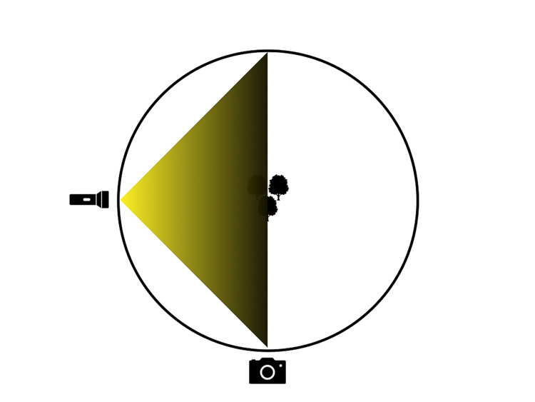 lighting diagram showing light source on camera left