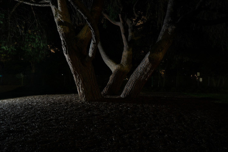 example photo of subject lit from the left