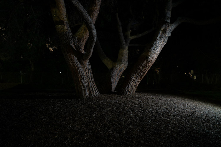 example image showing the subject having lighting coming from the camera right